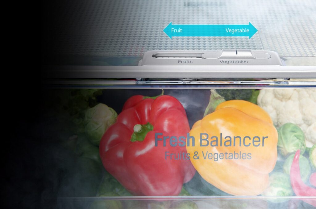 قابلیت LG refrigerator freezer GR-X259CSBV
